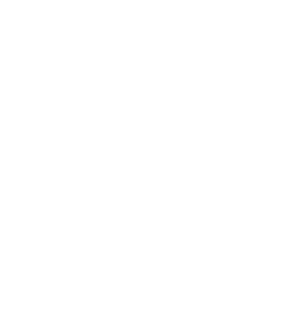 Bird-White-Icon